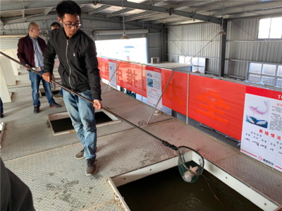 【新時代 新作為 新篇章】搭建新平臺研發新技術 農業創新為鄉村振興注入活力