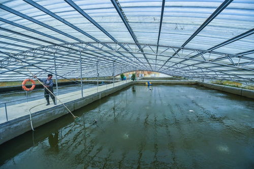 航拍浙江湖州千畝魚塘 滿滿的生態美