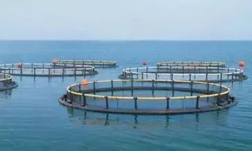 一家物流O2O平臺完成 D 輪 1.7 億美元融資 | 投資速遞