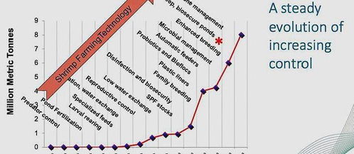 在科技創(chuàng)新的驅動下,水產(chǎn)養(yǎng)殖聯(lián)盟預測,五年后對蝦產(chǎn)量或翻倍