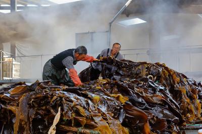 金融支點(diǎn)撬動(dòng)三產(chǎn)融合 恒豐銀行威海分行助力&ldquo;海帶之都&rdquo;提檔升級