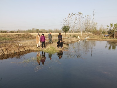 省體系專家赴鳳臺縣調(diào)研指導(dǎo)小龍蝦產(chǎn)業(yè)發(fā)展