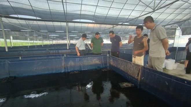 技術(shù)大拿間的&ldquo;夢幻聯(lián)動&rdquo;!海之味與集美大學(xué)水產(chǎn)學(xué)院達(dá)成戰(zhàn)略合作,開啟牛蛙技術(shù)研發(fā)新篇章