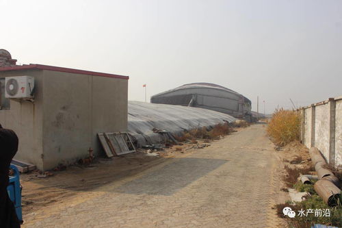 飼料營養(yǎng)如何堪比活餌 工廠化排水如何環(huán)保 高投入下是否意味著高收益