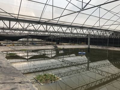 協(xié)會(huì)前往簡(jiǎn)陽(yáng)市大眾養(yǎng)殖有限責(zé)任公司考察調(diào)研