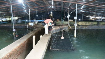 全國水產養殖尾水排放要求標準技術調研工作交流會在天馬科技集團圓滿召開 天馬科技