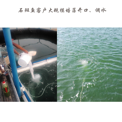 小球藻柵藻營養(yǎng)鹽快速穩(wěn)定擴培