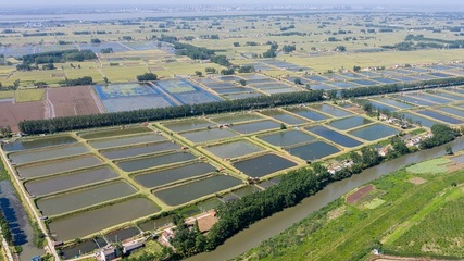 澳洲淡水龍蝦種苗生產(chǎn)孵化企業(yè)湖北首達農(nóng)業(yè)實業(yè)獲A輪融資6800萬元