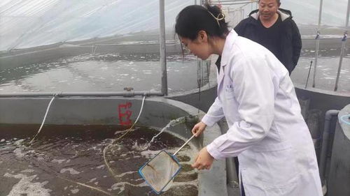研發(fā)新型水產(chǎn)養(yǎng)殖殺菌劑,濟(jì)南大學(xué)團(tuán)隊(duì)獲 挑戰(zhàn)杯 金獎