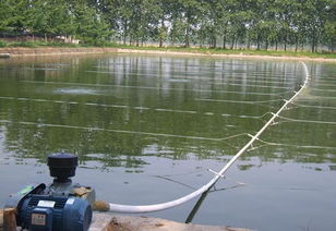 您還在為養(yǎng)殖過程中的氨氮超標頭疼不已嗎