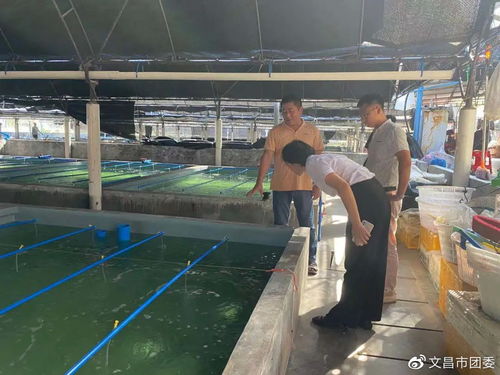 海南文昌市團委到會文鎮(zhèn)煙堆村調(diào)研水產(chǎn)養(yǎng)殖產(chǎn)業(yè)及鄉(xiāng)村振興工作