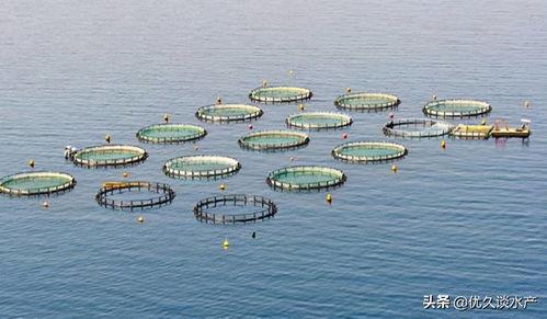 智慧水產(chǎn)養(yǎng)殖,開啟養(yǎng)殖模式新時(shí)代