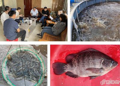 南海所&ldquo;高密度對蝦+海水羅非魚異位串聯(lián)的生物絮團(tuán)零換水養(yǎng)殖技術(shù)&rdquo;試驗示范通過測產(chǎn)驗收