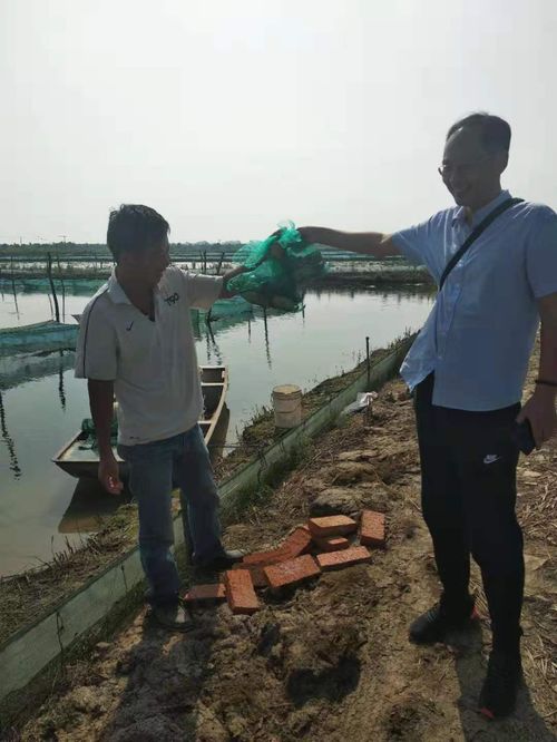 市水產(chǎn)技術(shù)推廣站技術(shù)人員到戶進(jìn)行河蟹養(yǎng)殖技術(shù)指導(dǎo)