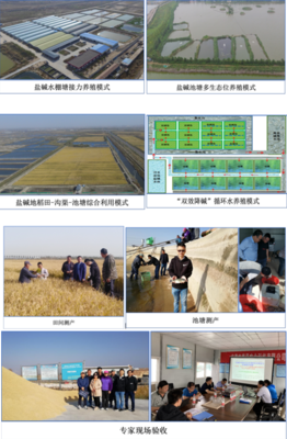 中國水產(chǎn)科學(xué)研究院東海所牽頭的藍(lán)色糧倉重點(diǎn)專項(xiàng)課題&ldquo;鹽堿水質(zhì)綜合改良調(diào)控技術(shù)研發(fā)與養(yǎng)殖模式構(gòu)建&rdquo;開展2020年度現(xiàn)場驗(yàn)收