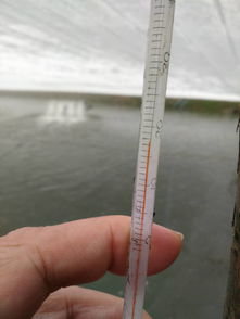 珠海農(nóng)發(fā)中心深入基層，科學(xué)開展水產(chǎn)養(yǎng)殖防寒減災(zāi)工作